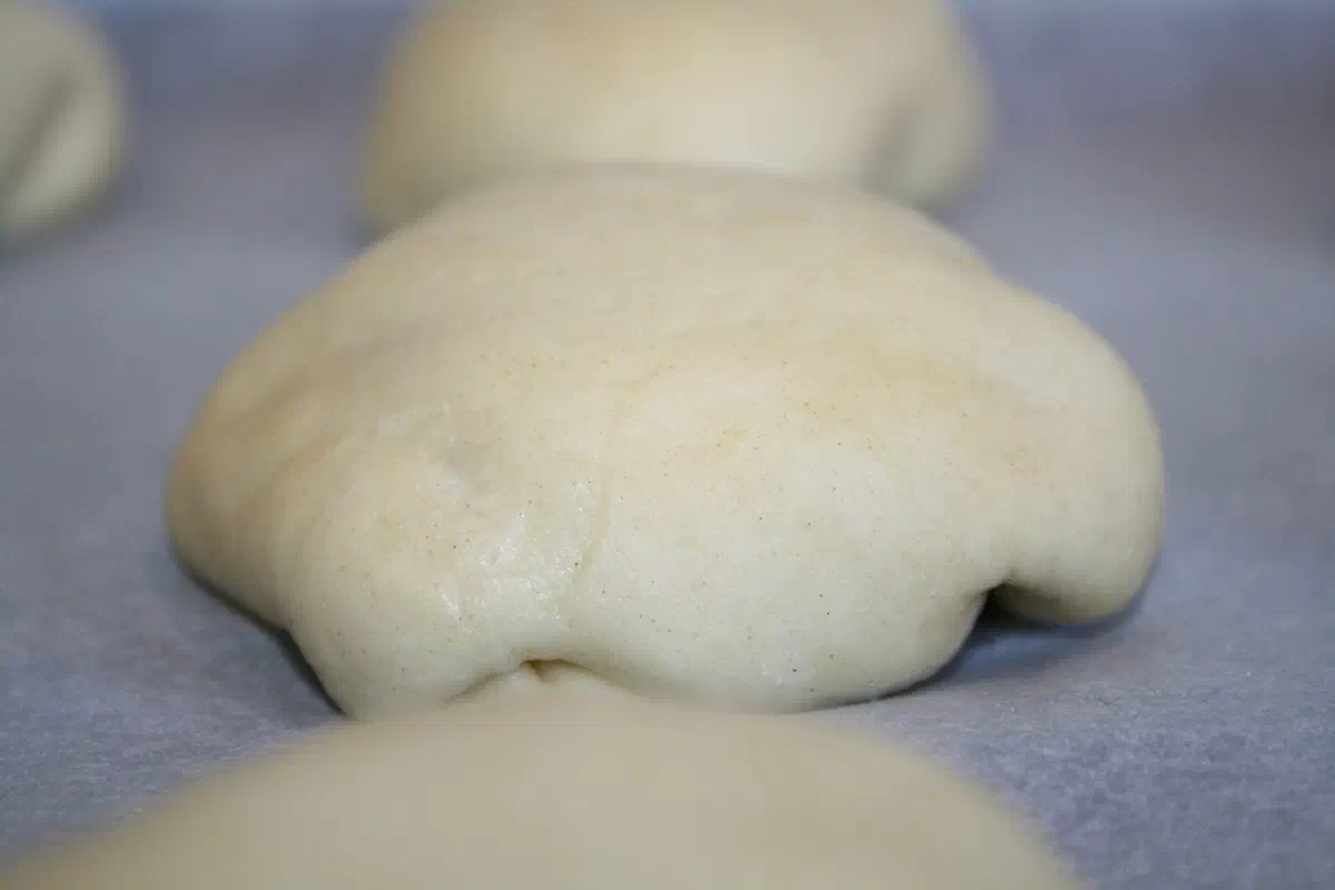 Fastelavnsboller