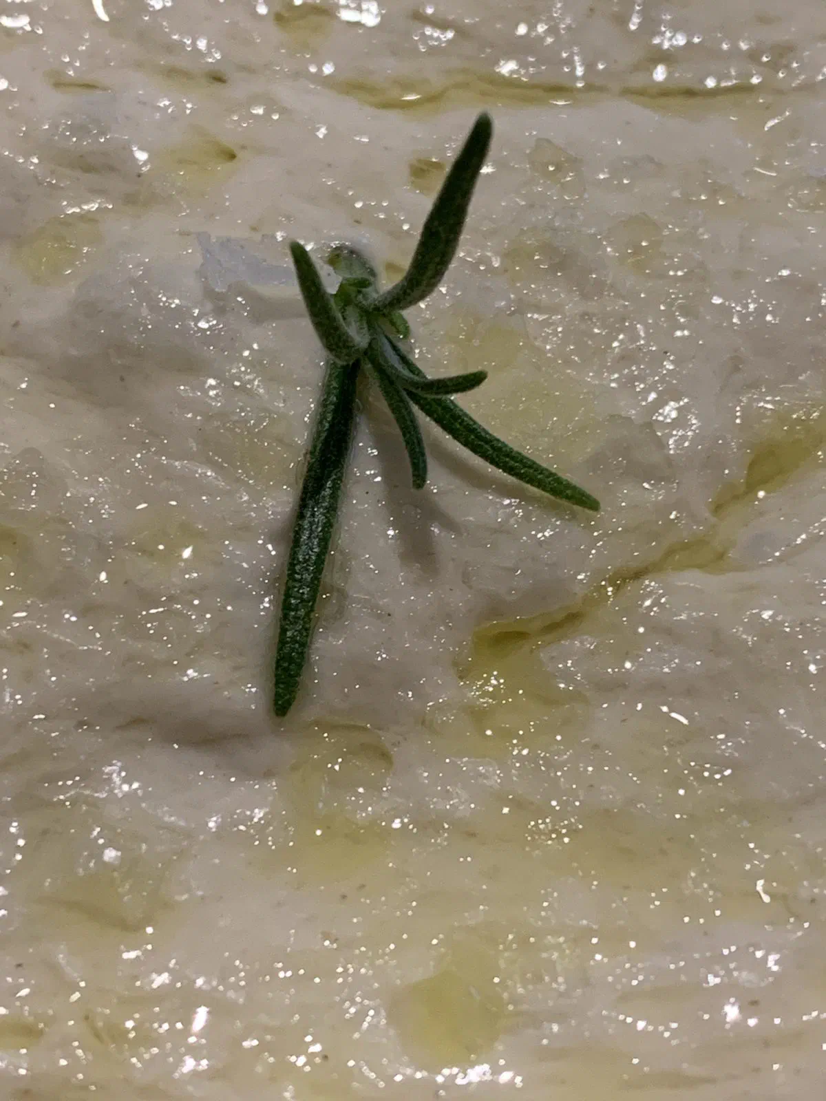 Foccasia med flagesalt og rosenmarin