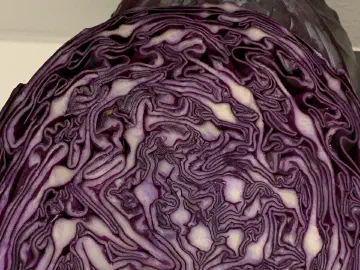 Rødkålssalat med appelsin, billede 4