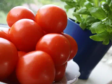 Tomatsuppe, billede 3